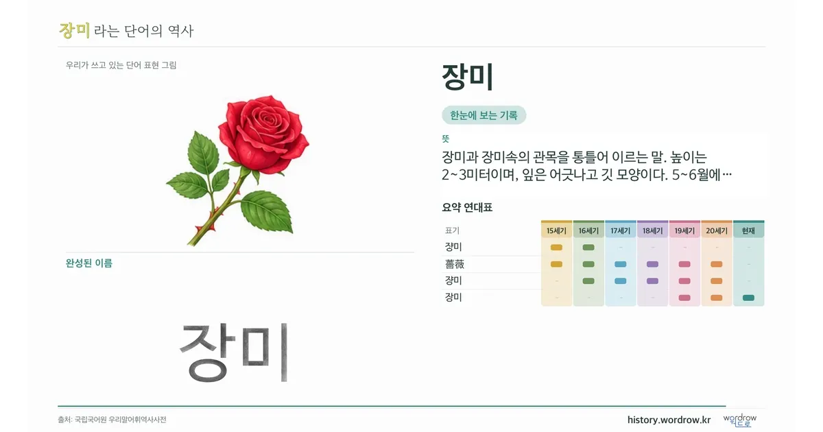 장미 대표 이미지