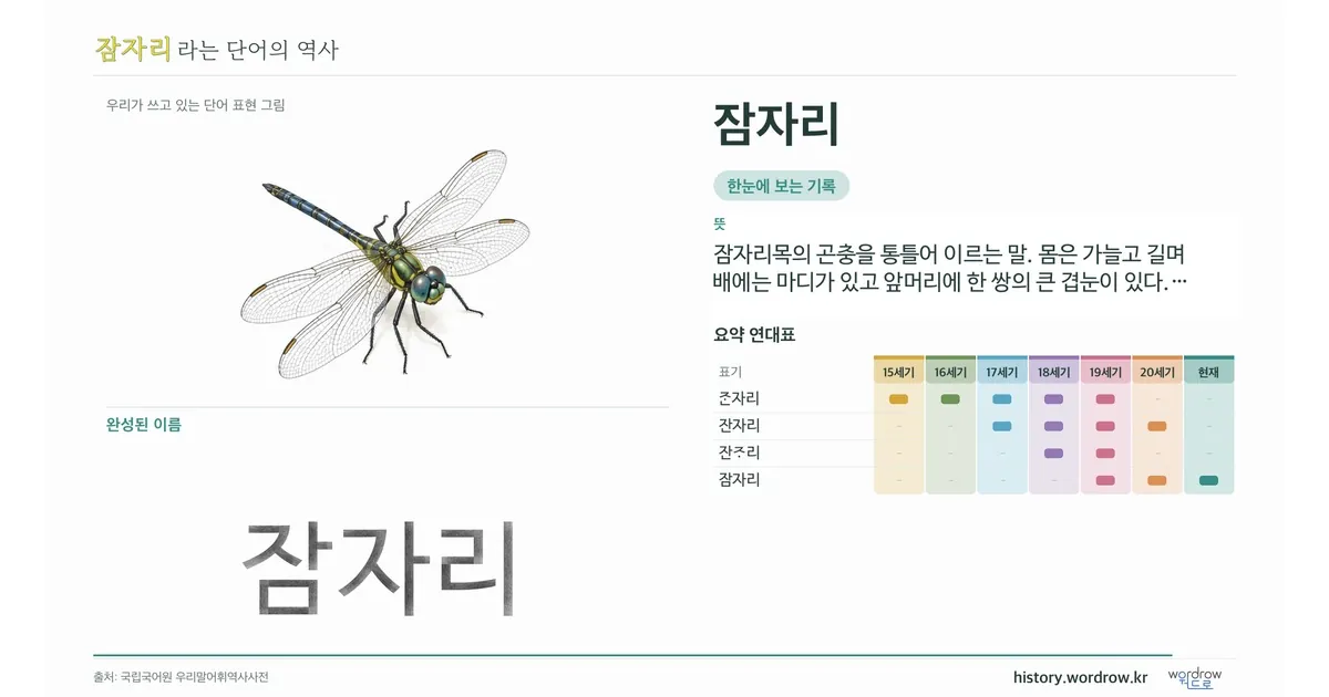 잠자리 대표 이미지