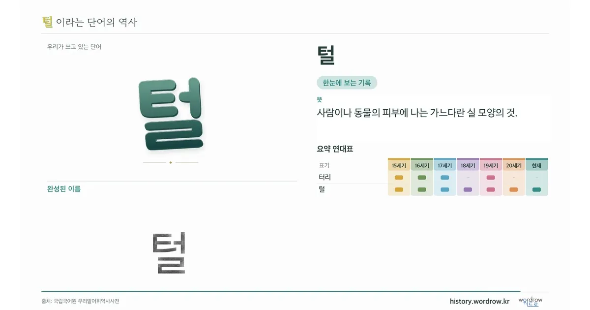 털 대표 이미지