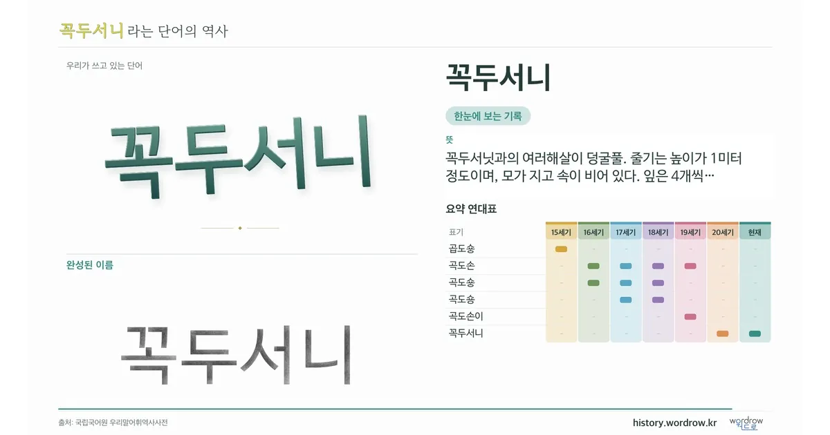 꼭두서니 대표 이미지