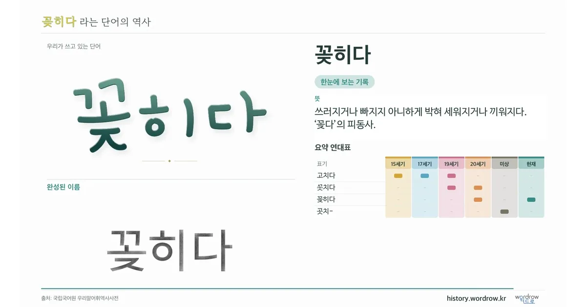 꽂히다 대표 이미지