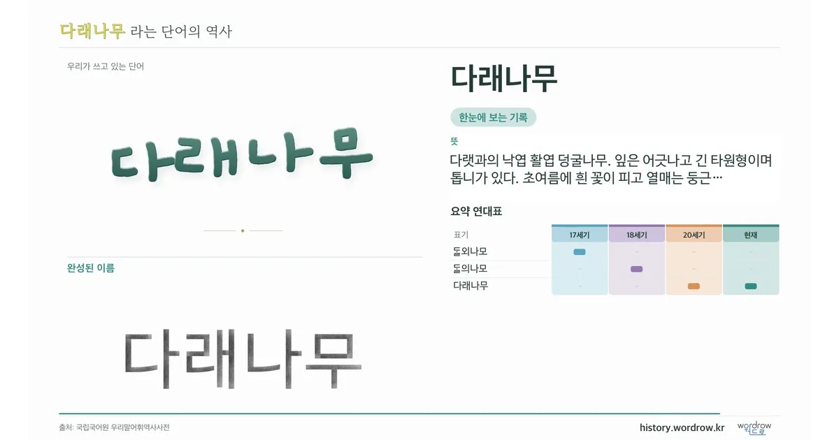 다래나무 대표 이미지
