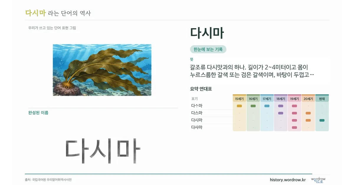 다시마 대표 이미지