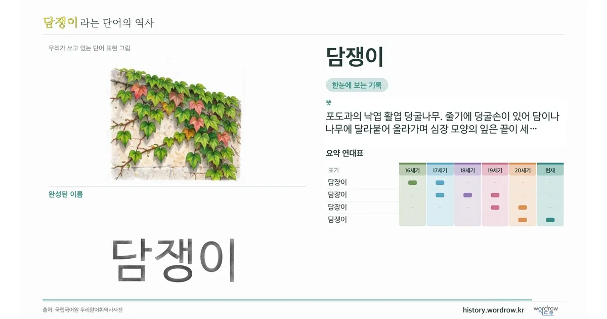 담쟁이 대표 이미지