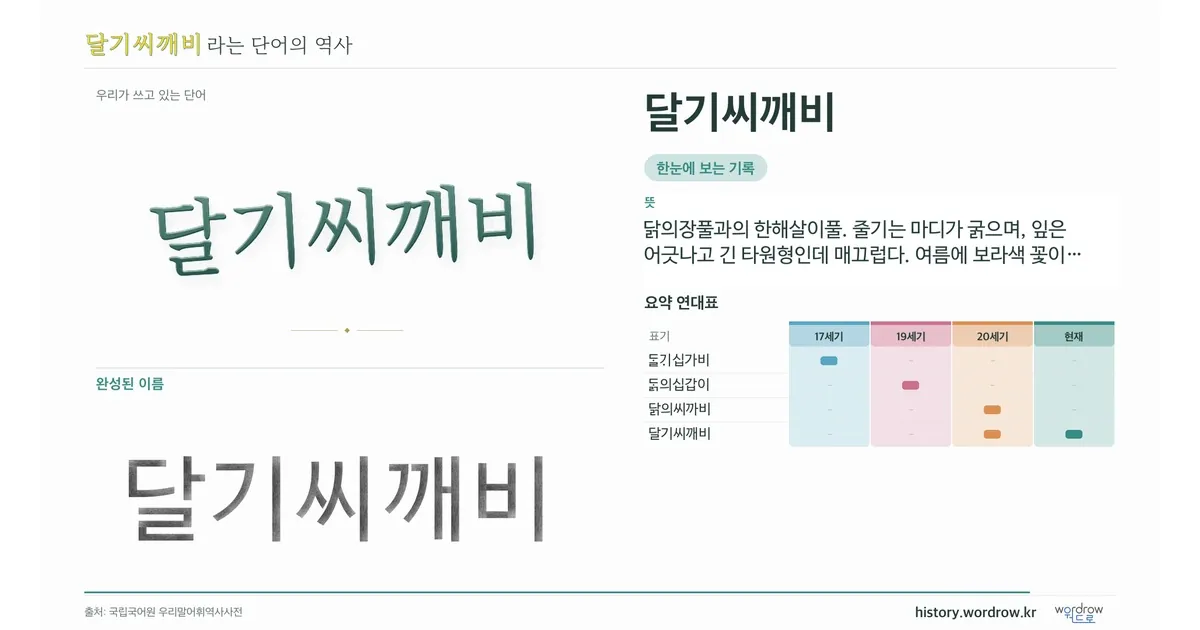 달기씨깨비 대표 이미지