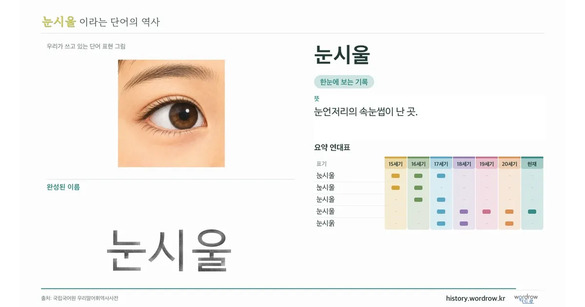눈시울 대표 이미지