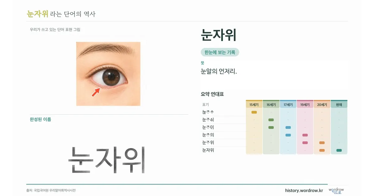 눈자위 대표 이미지