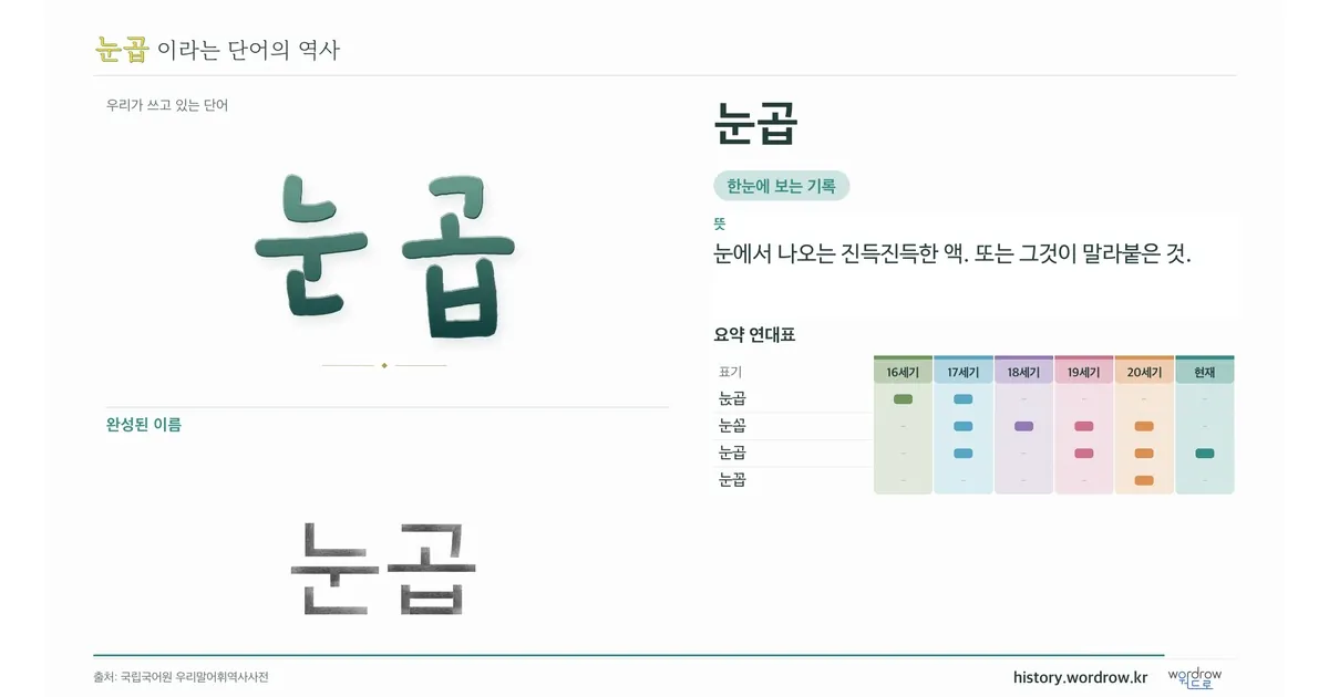 눈곱 대표 이미지