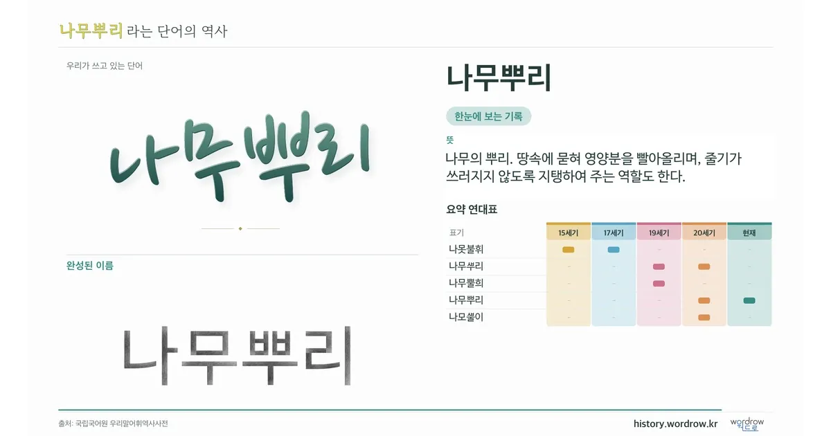 나무뿌리 대표 이미지