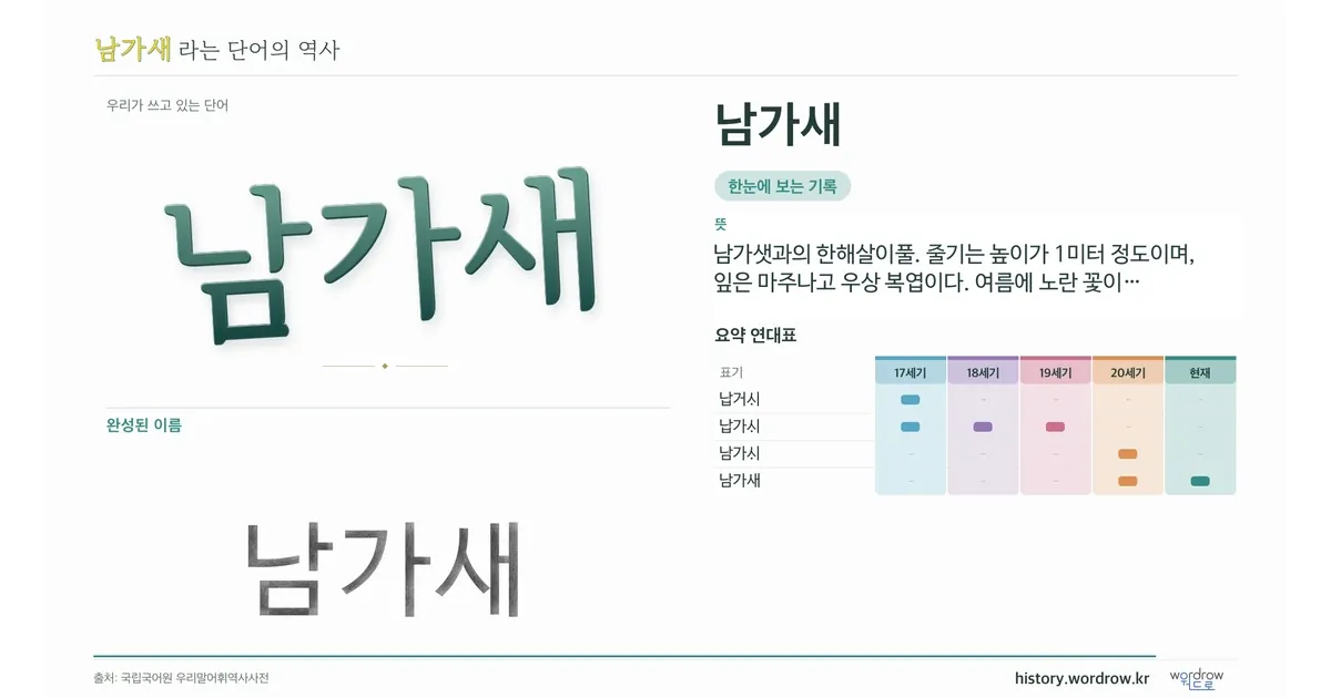 남가새 대표 이미지