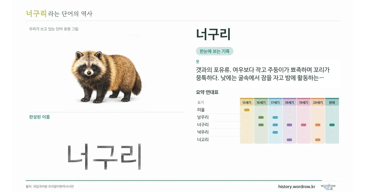 너구리 대표 이미지