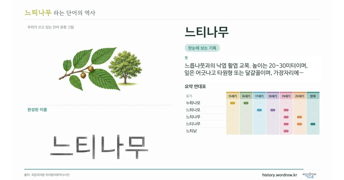 느티나무 대표 이미지