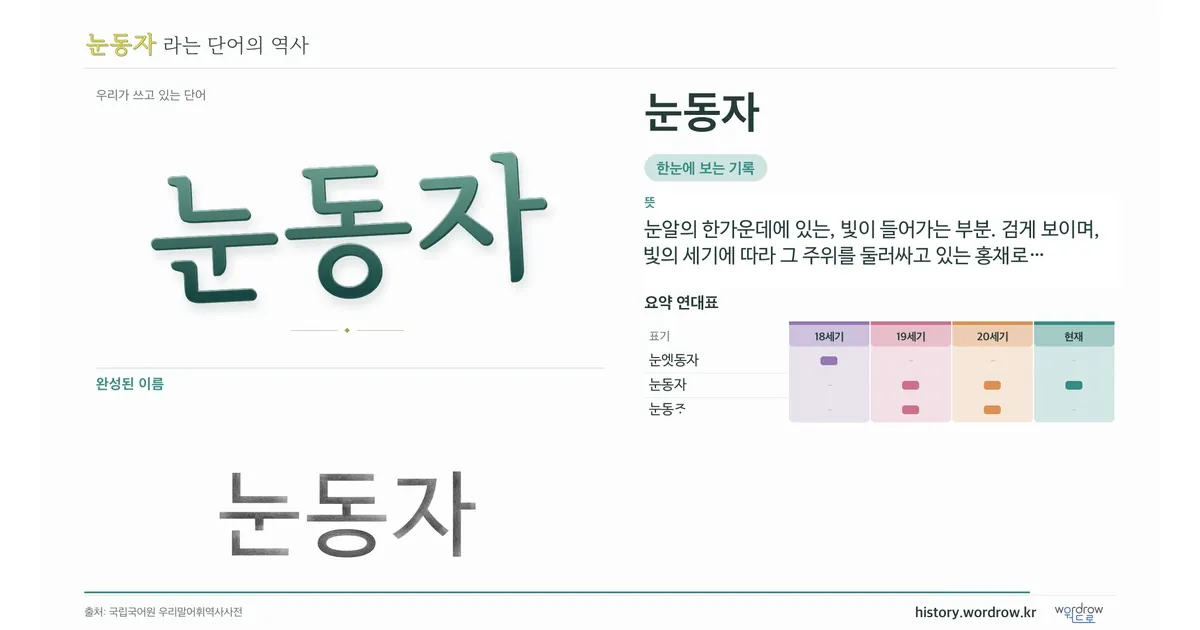 눈동자 대표 이미지