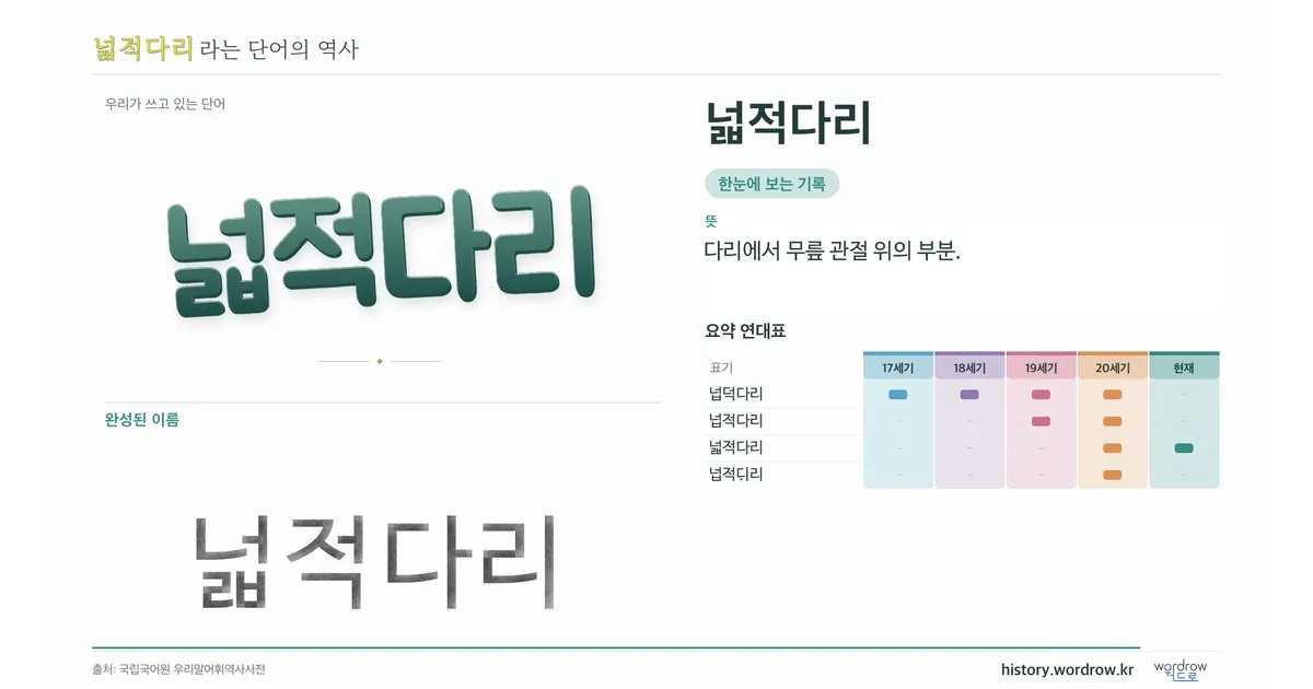 넓적다리 대표 이미지