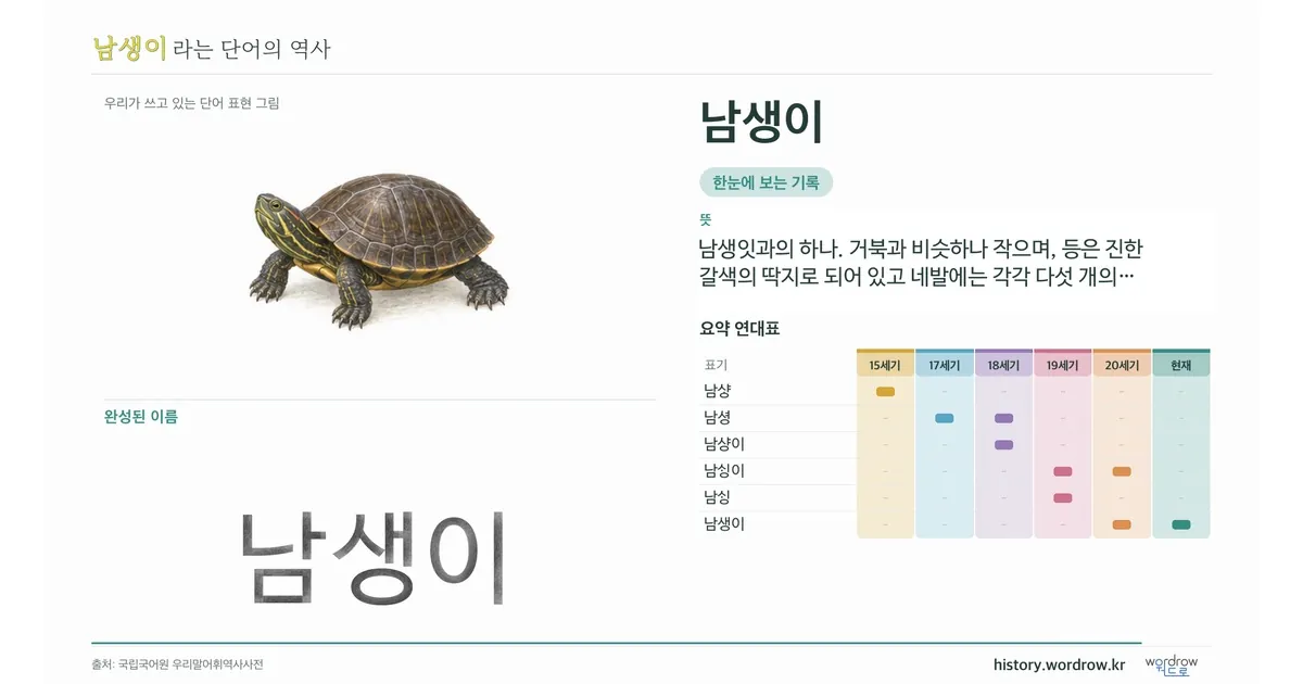 남생이 대표 이미지