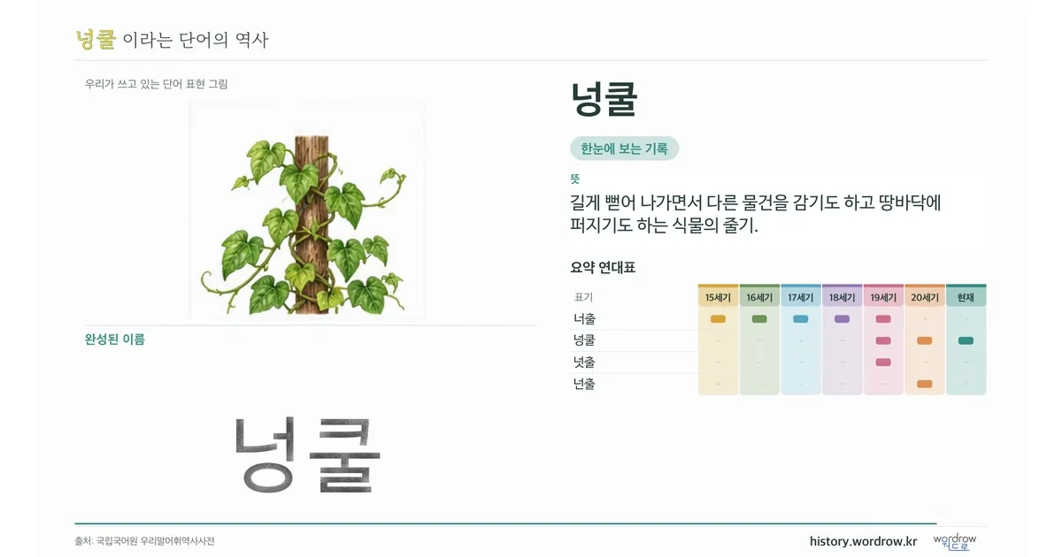 넝쿨 대표 이미지