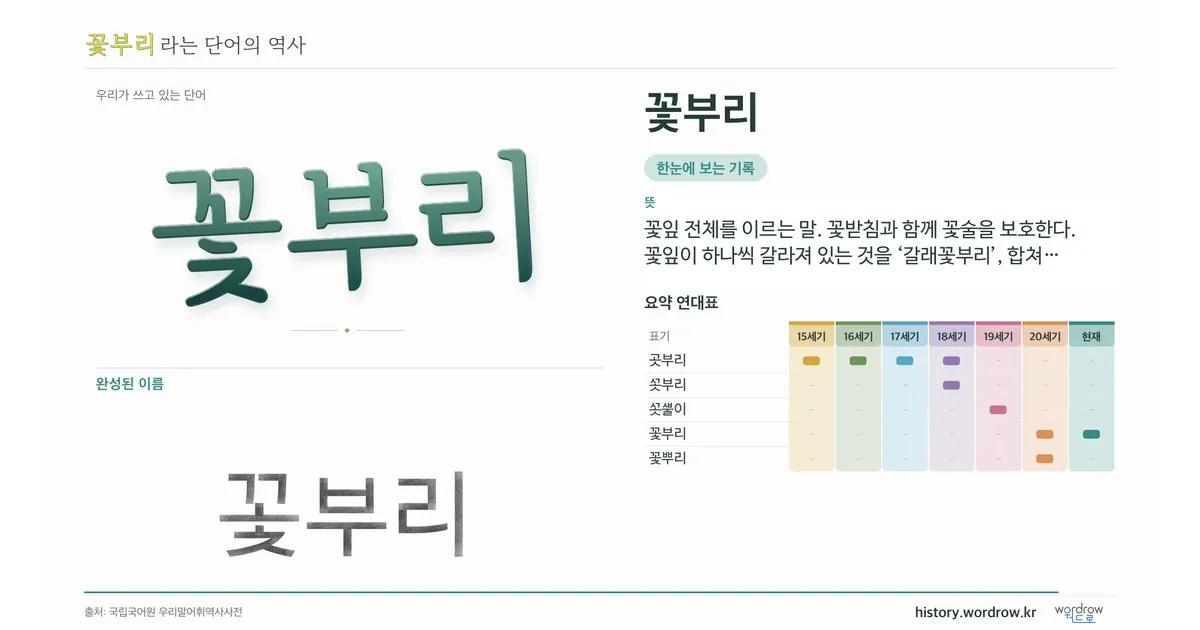 꽃부리 대표 이미지
