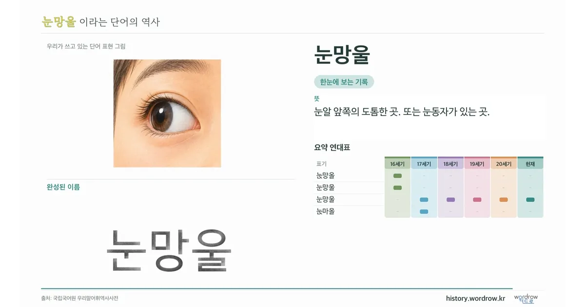 눈망울 대표 이미지