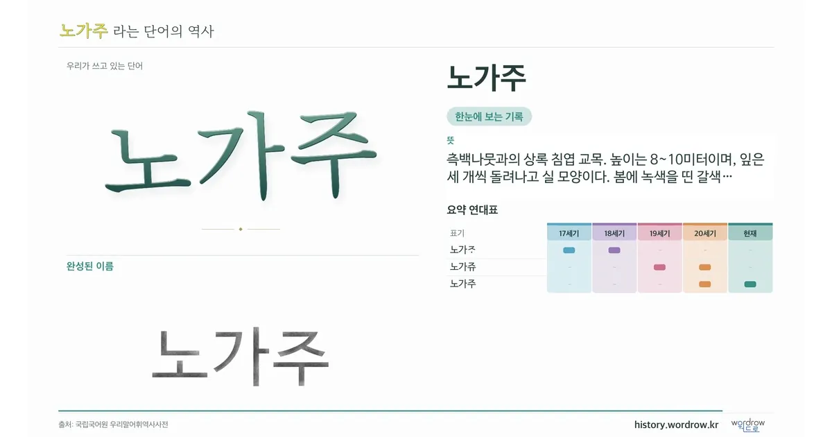 노가주 대표 이미지