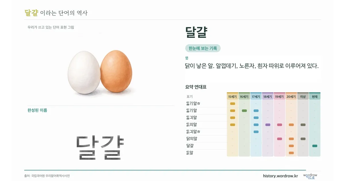 달걀 대표 이미지