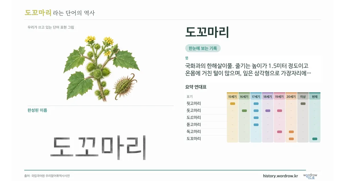 도꼬마리 대표 이미지