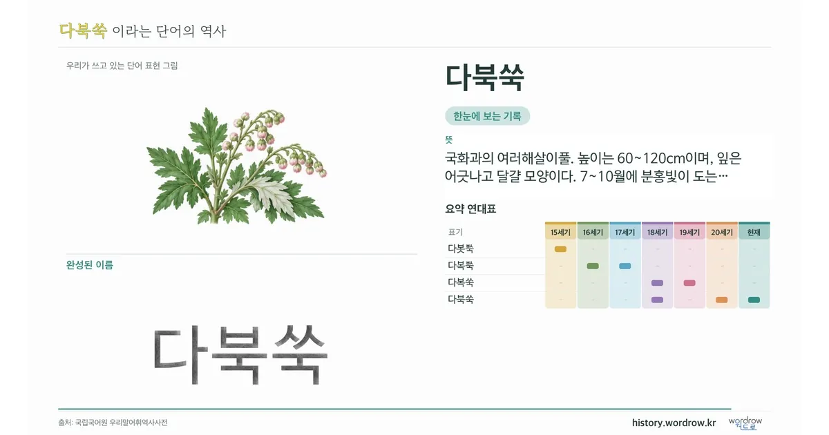 다북쑥 대표 이미지