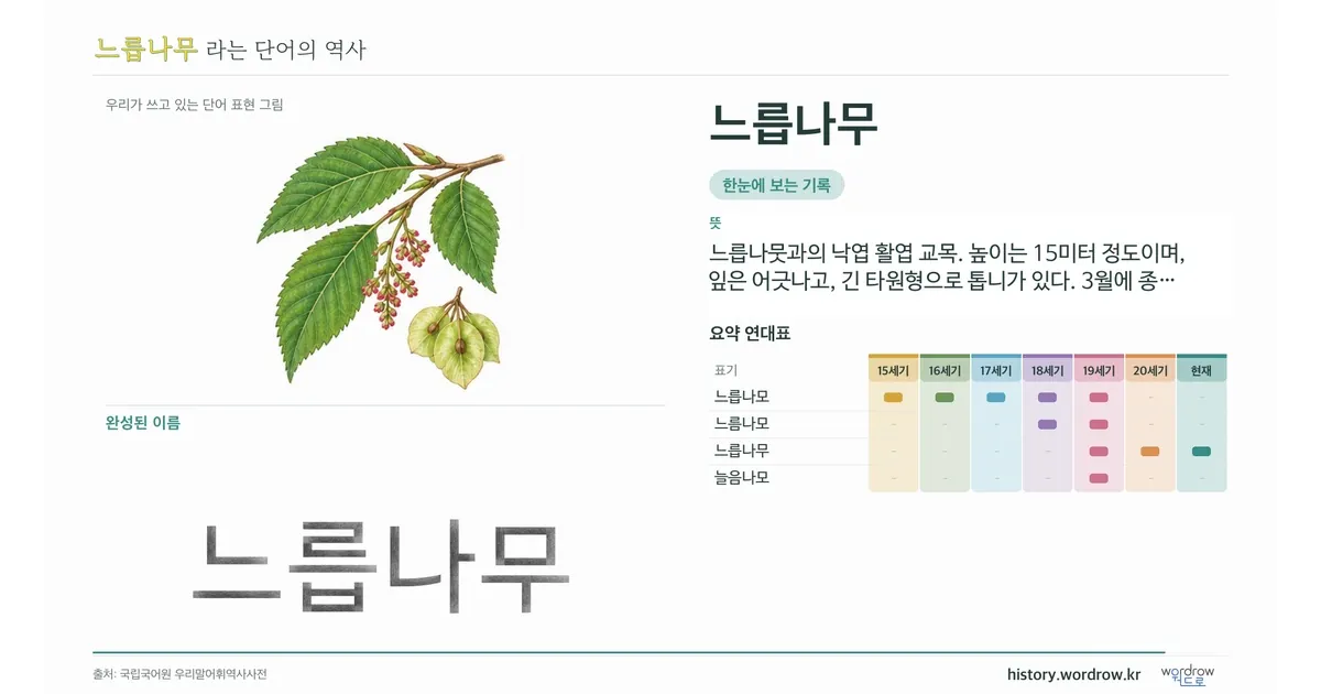 느릅나무 대표 이미지