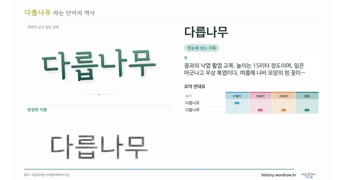 다릅나무 대표 이미지