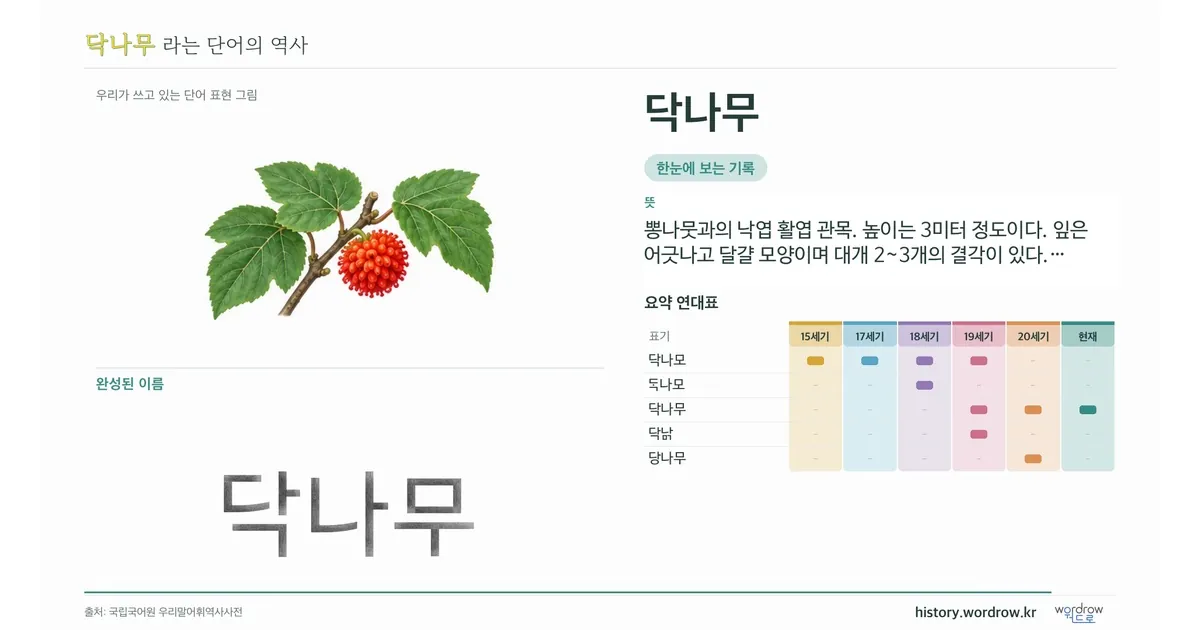 닥나무 대표 이미지