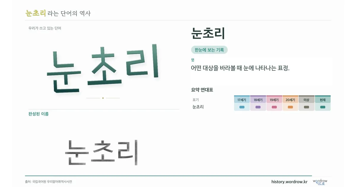 눈초리 대표 이미지