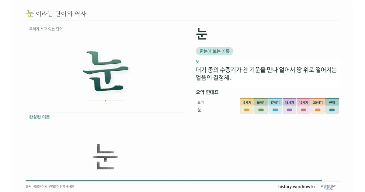 눈 대표 이미지