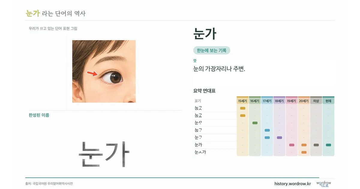 눈가 대표 이미지