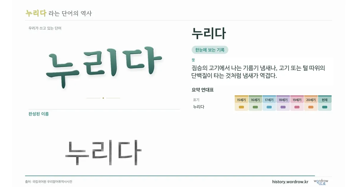 누리다 대표 이미지