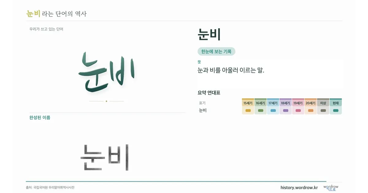 눈비 대표 이미지