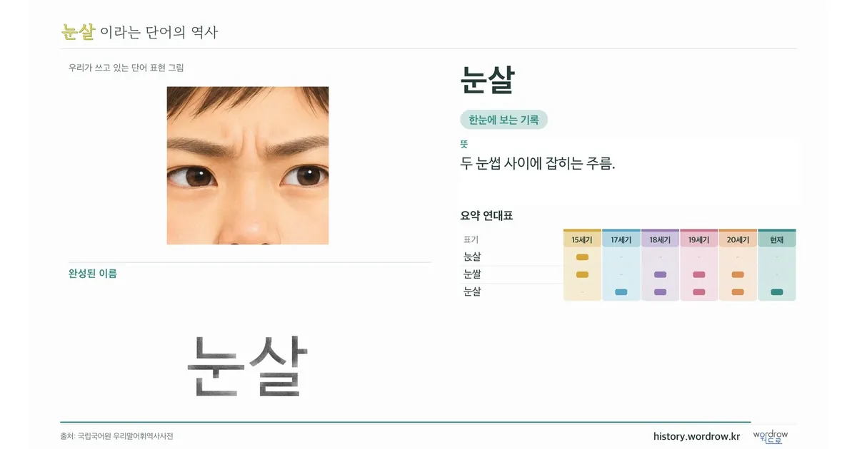 눈살 대표 이미지