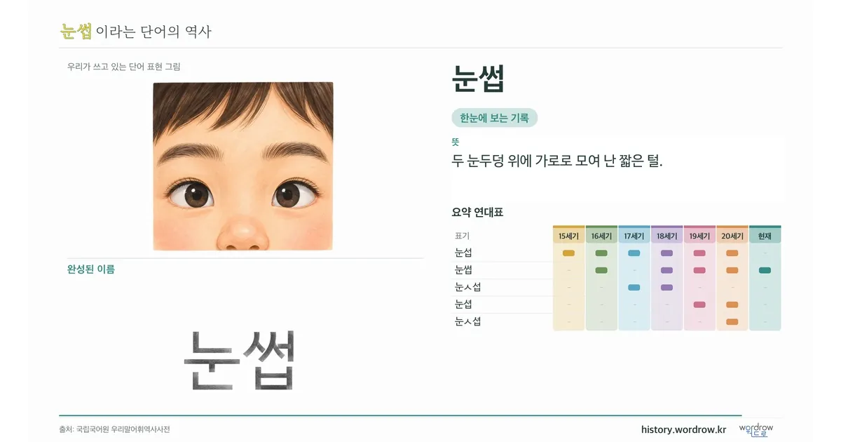 눈썹 대표 이미지