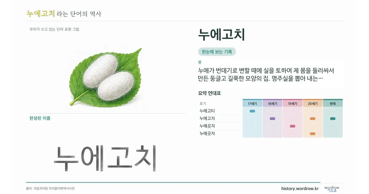 누에고치 대표 이미지