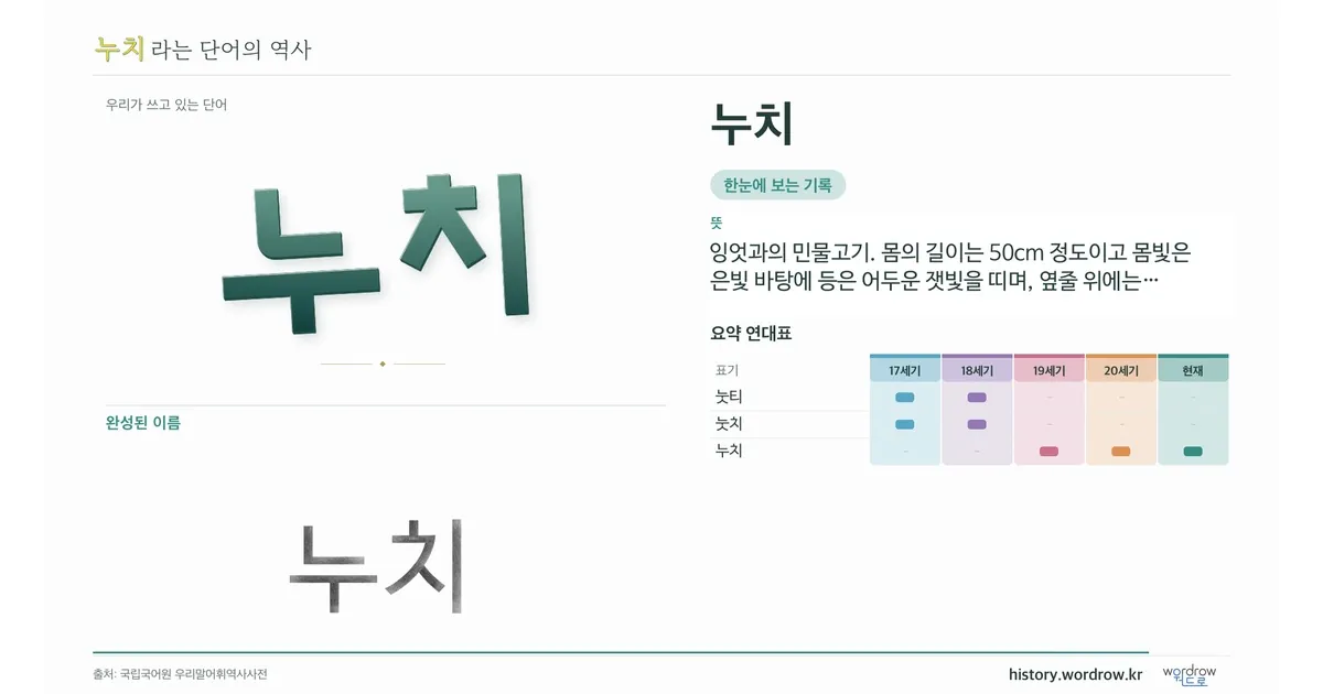 누치 대표 이미지