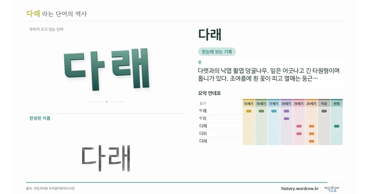 다래 대표 이미지