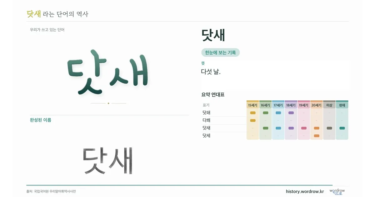 닷새 대표 이미지
