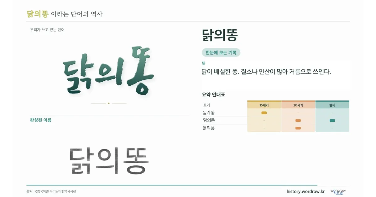 닭의똥 대표 이미지