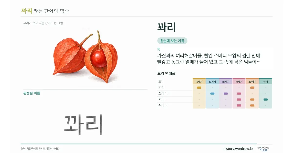 꽈리 대표 이미지