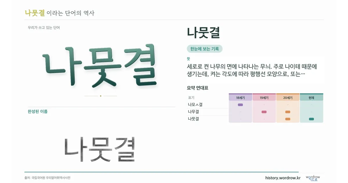 나뭇결 대표 이미지
