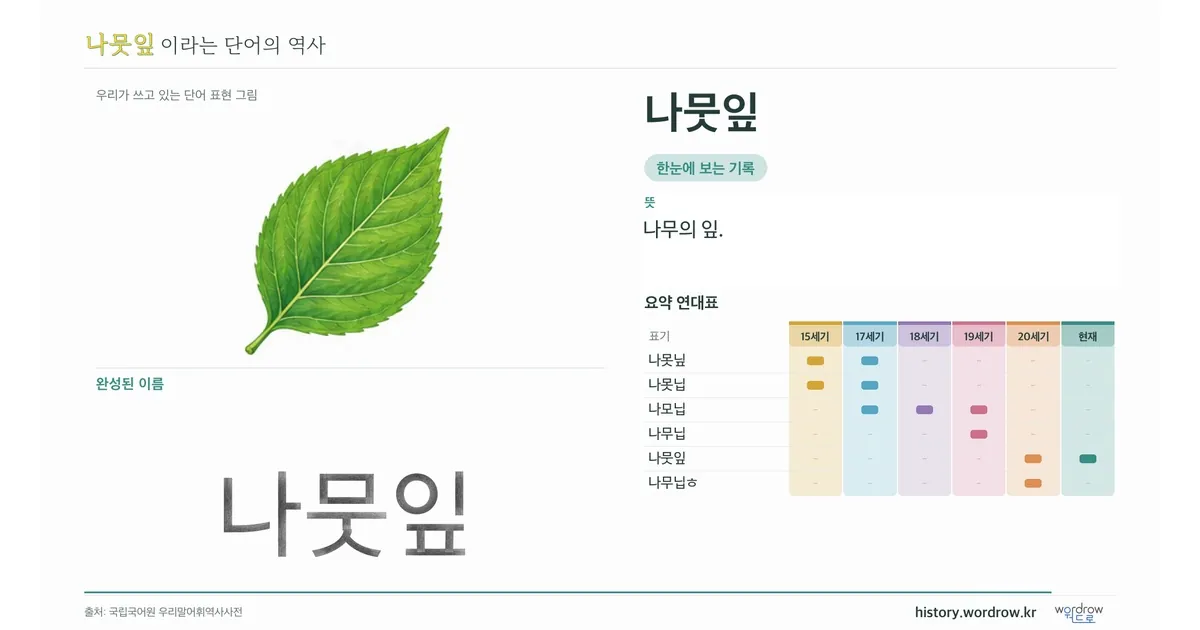 나뭇잎 대표 이미지