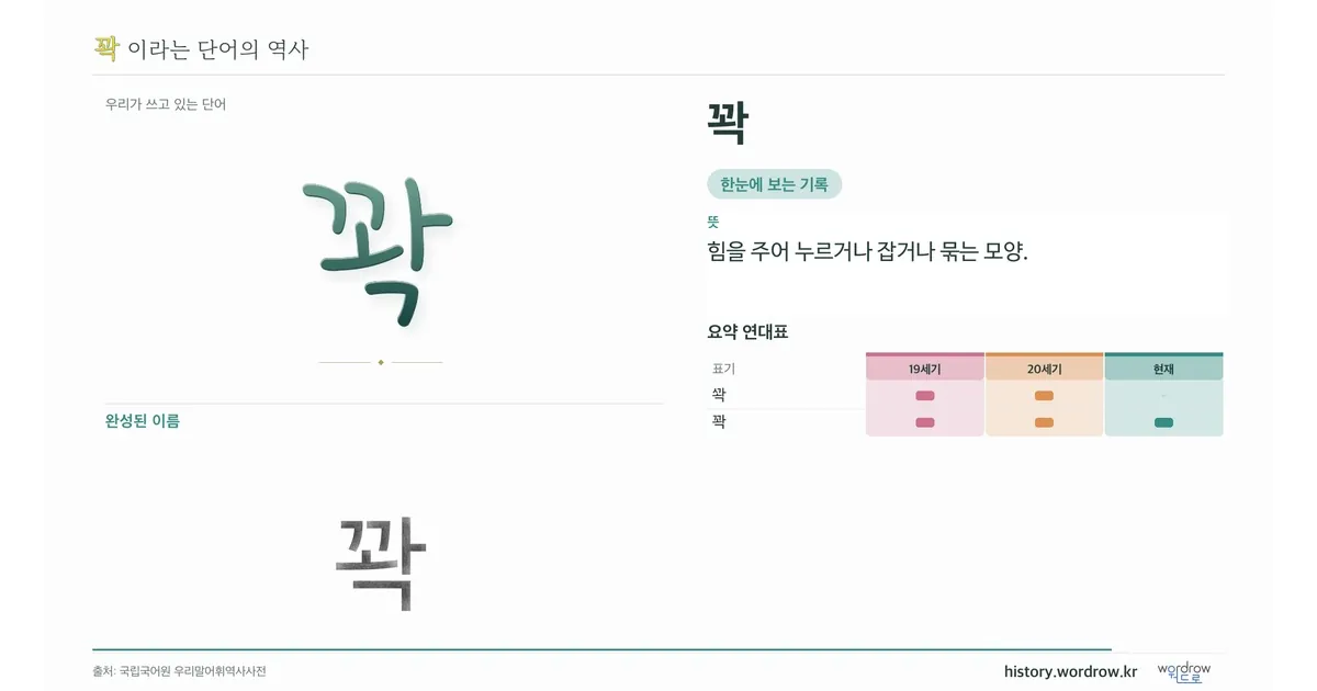 꽉 대표 이미지