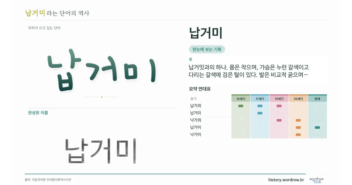 납거미 대표 이미지