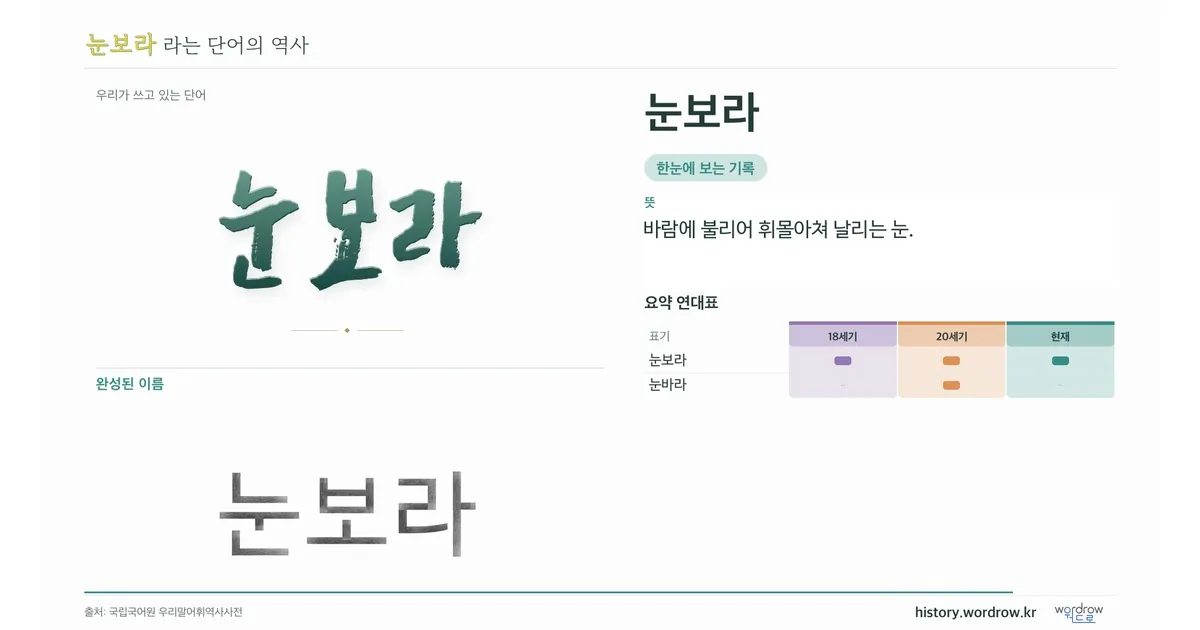 눈보라 대표 이미지
