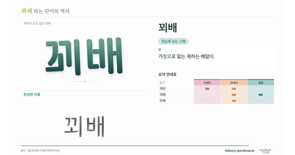 꾀배 대표 이미지