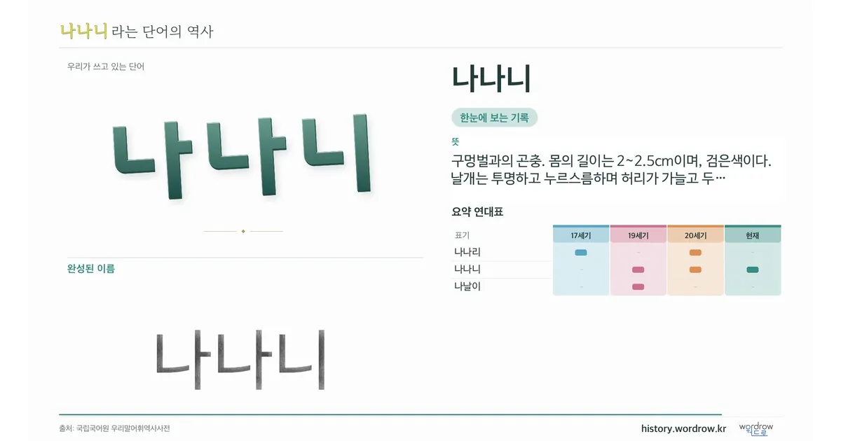 나나니 대표 이미지