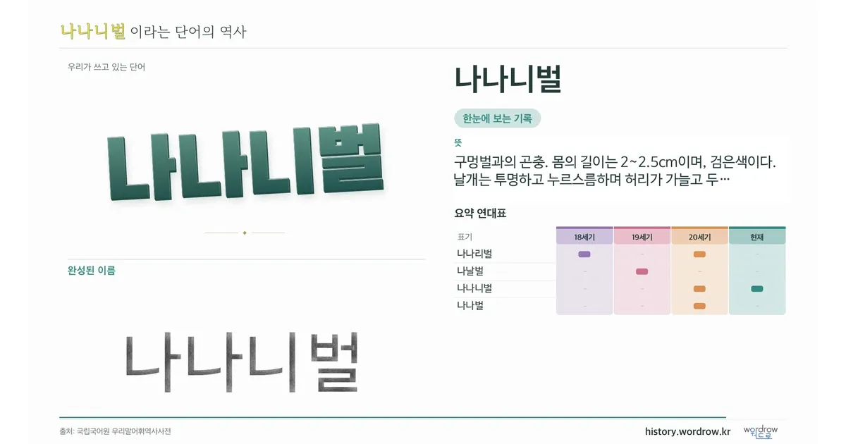 나나니벌 대표 이미지